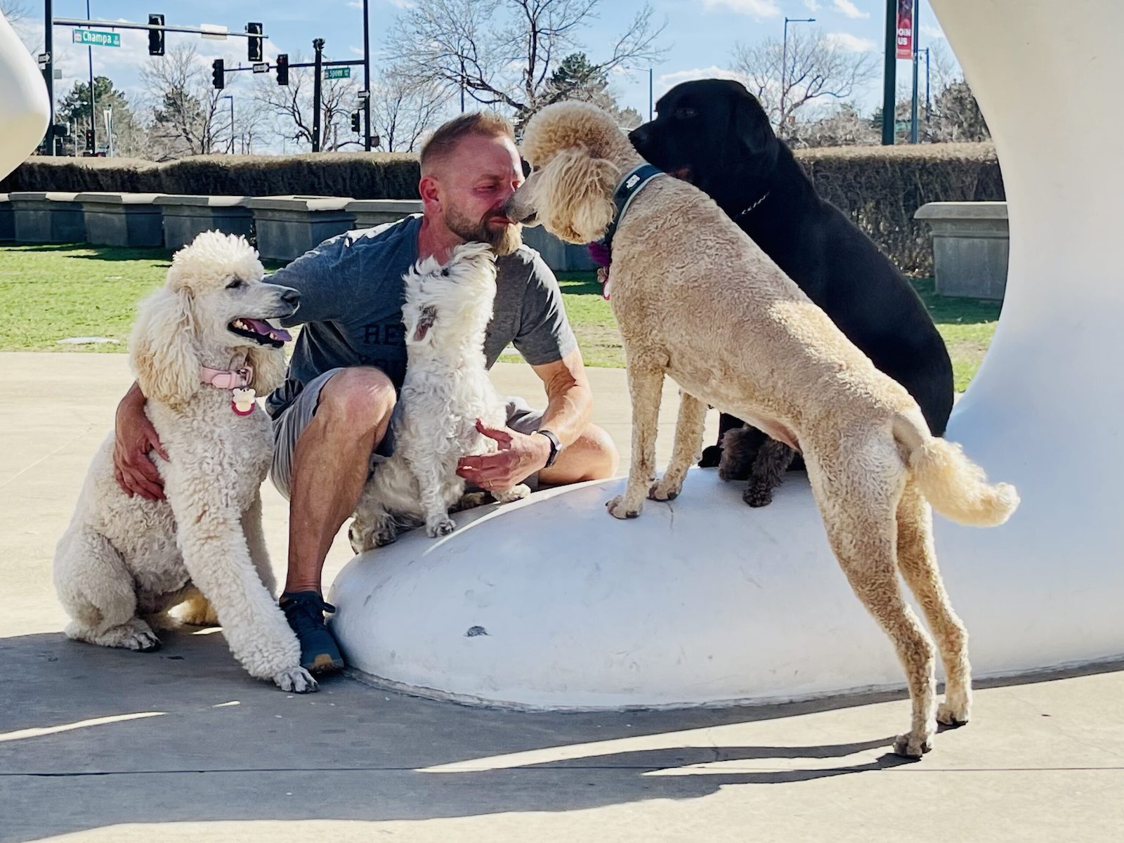 happy tail happy dog