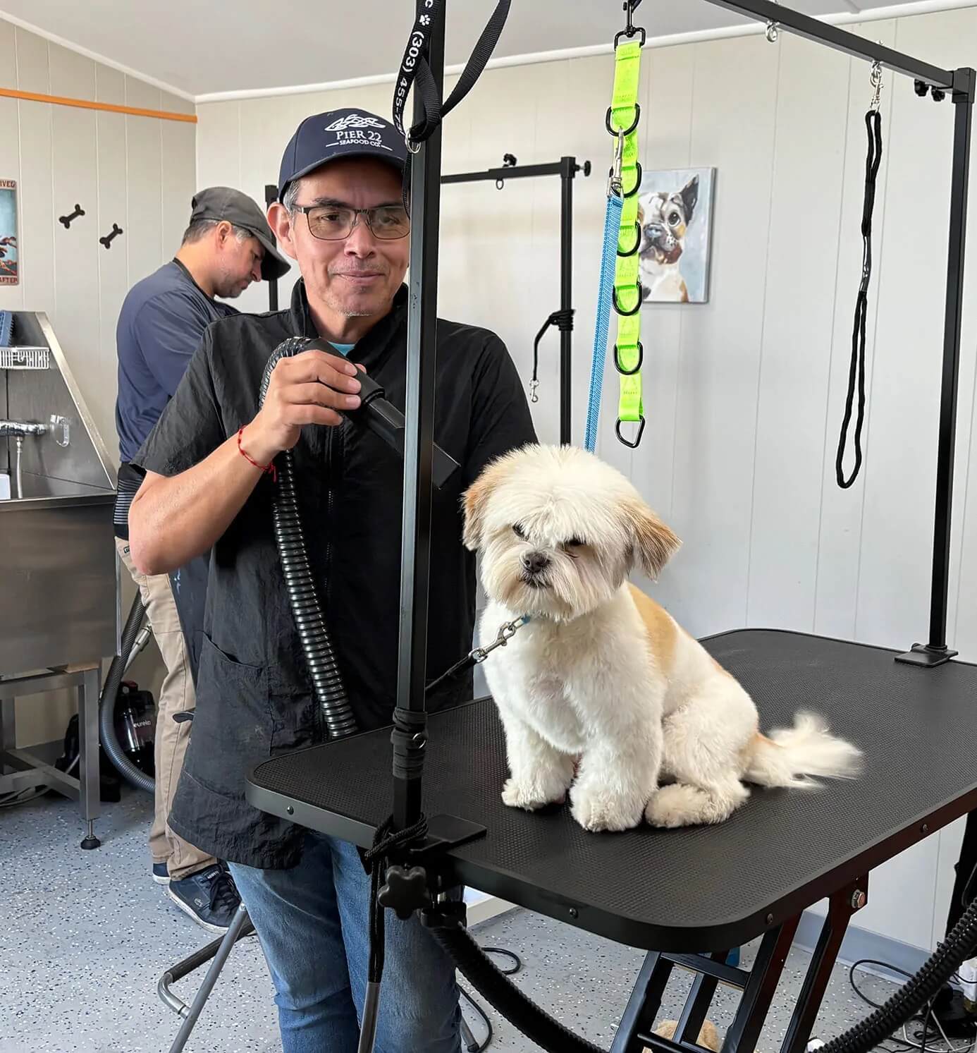 dog-groomers dog groomers