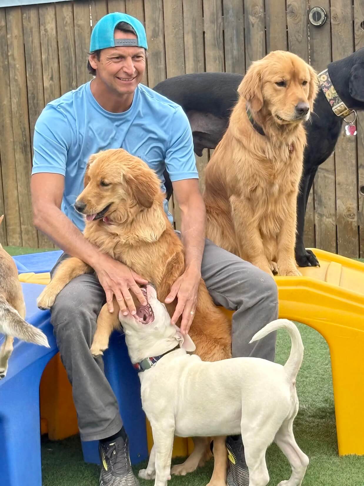 dog-grooming-company dog grooming company