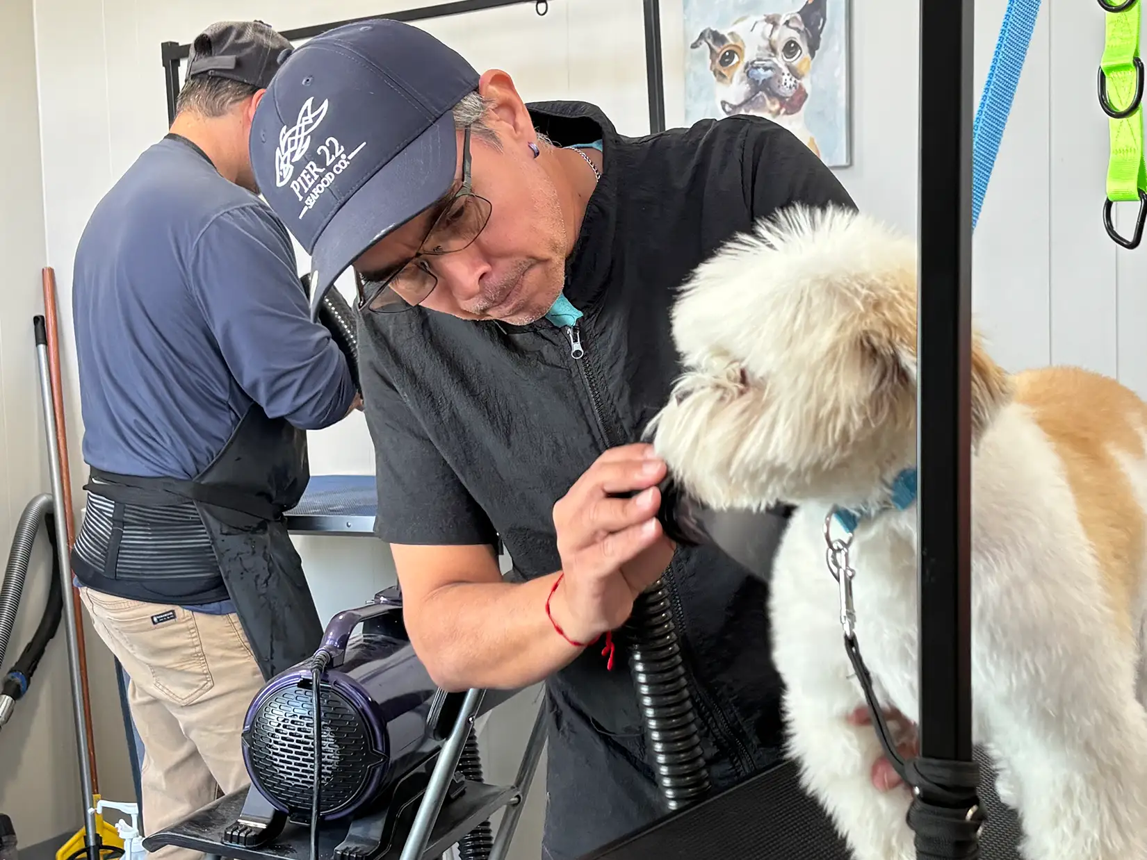 denver dog grooming services