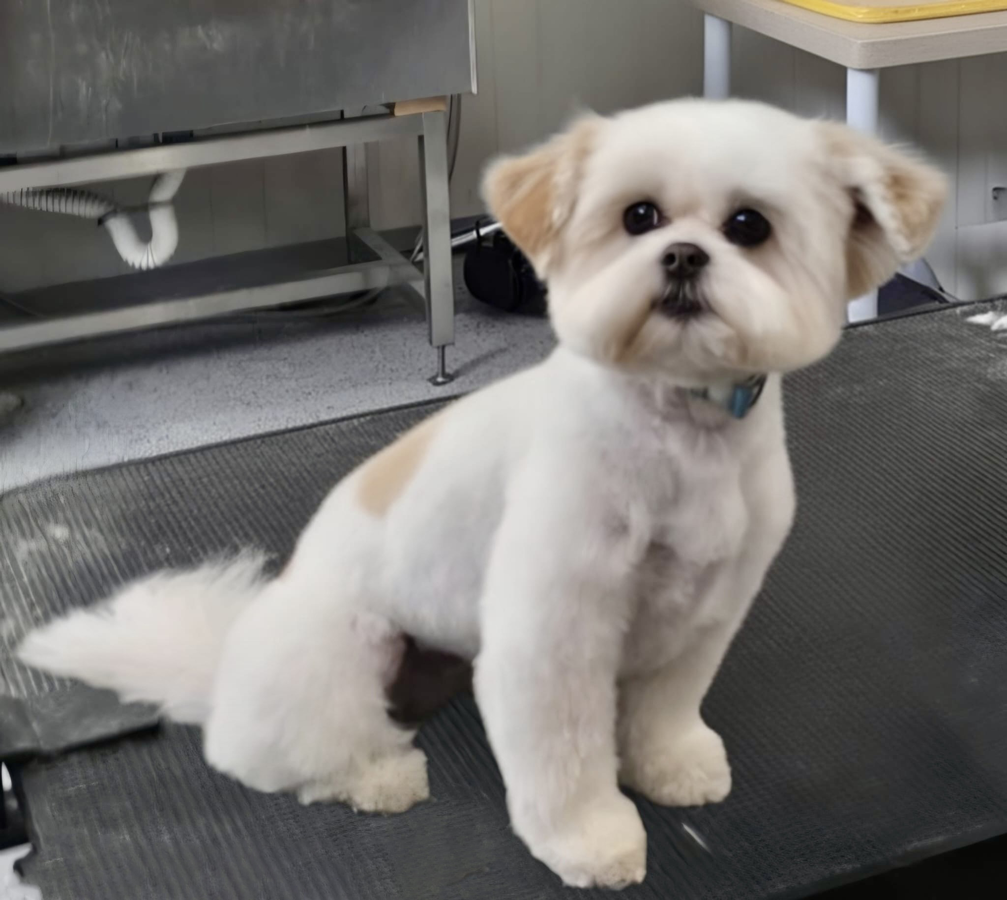 e915bd6f-91da-49dc-80cc-bfeefb6133fd copy