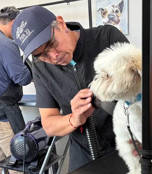 dog groomer drying small white dog